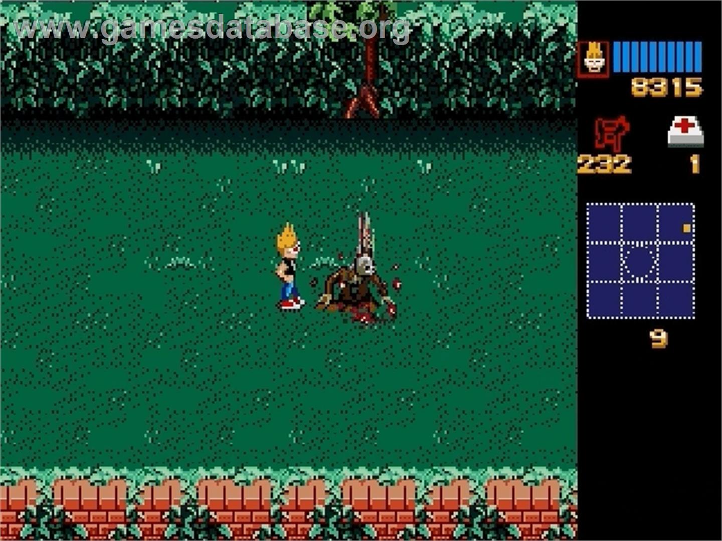 Zombies Ate My Neighbors - Sega Genesis - Artwork - In Game