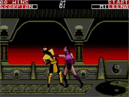 In game image of Mortal Kombat 2 on the Sega Master System.