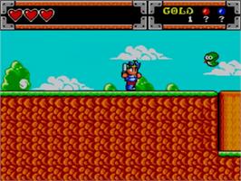 In game image of Wonder Boy in Monster World on the Sega Master System.