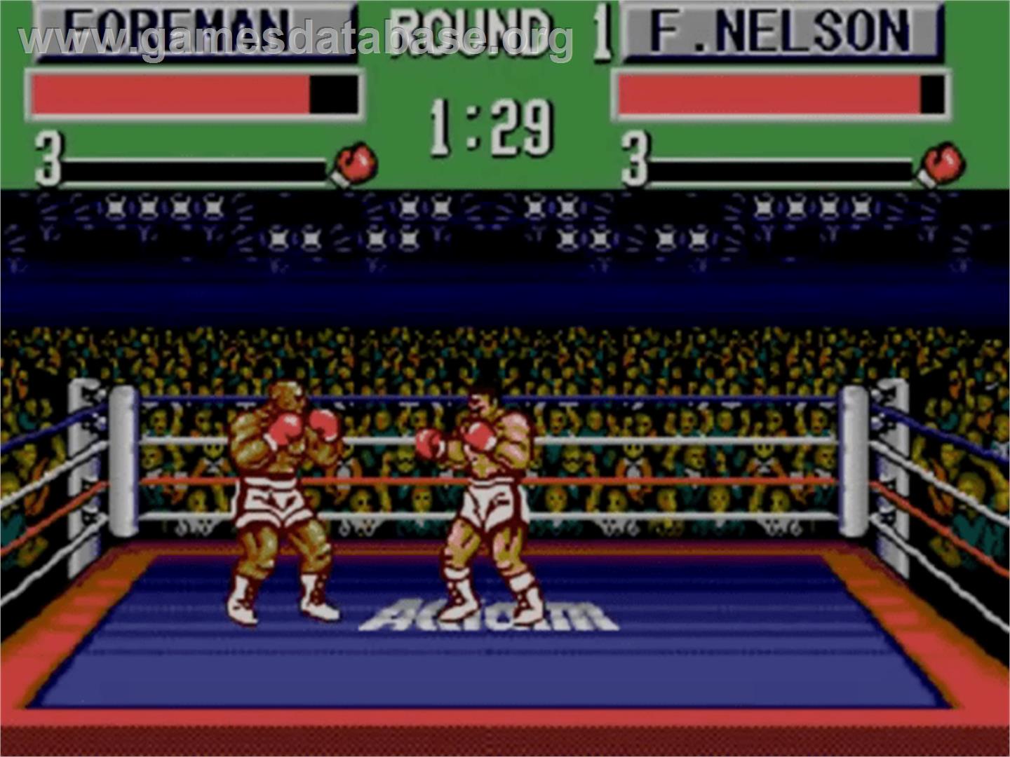 George Foreman's KO Boxing - Sega Master System - Artwork - In Game
