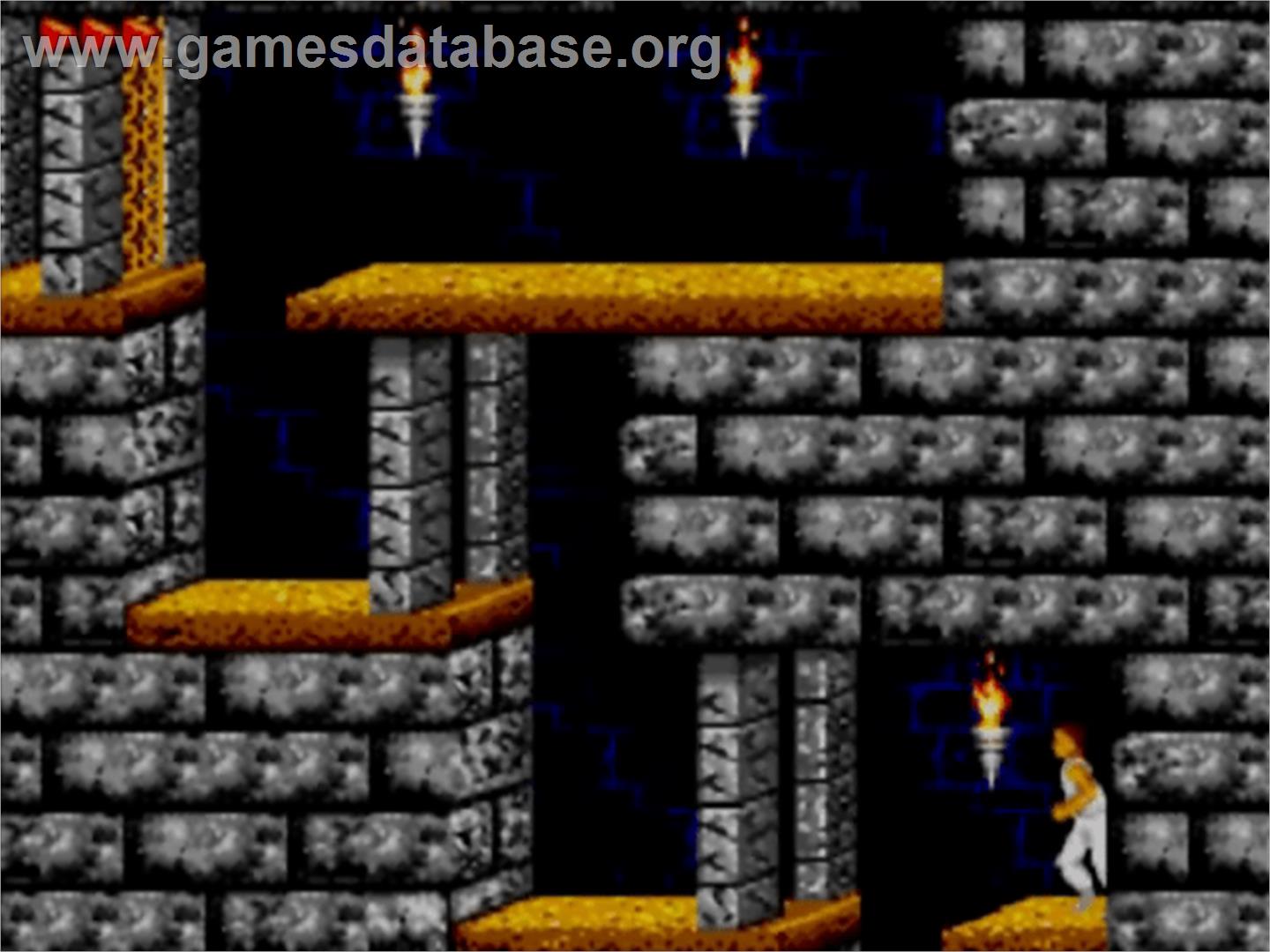 Prince Of Persia - Sega Master System - Artwork - In Game