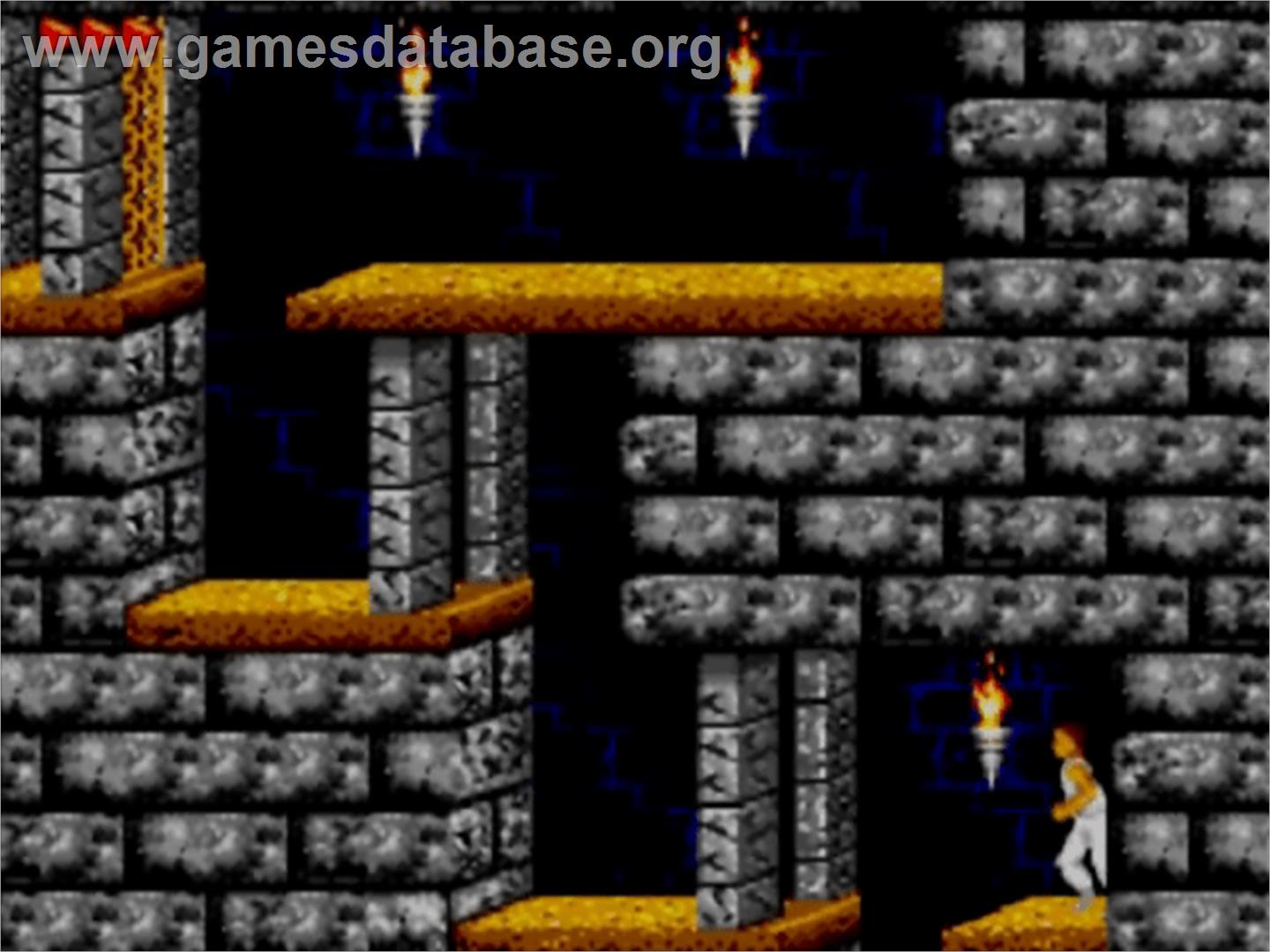 Prince of Persia - Sega Master System - Artwork - In Game