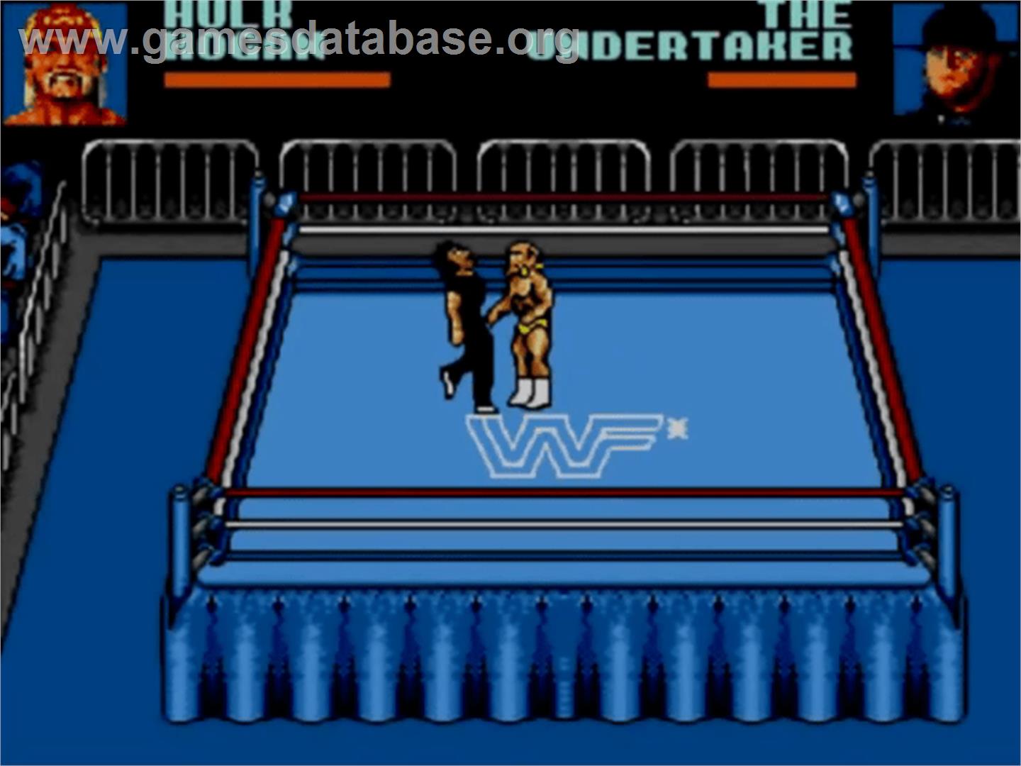 Wwf Wrestlemania - Steel Cage Challenge - Sega Master System - Artwork - In Game