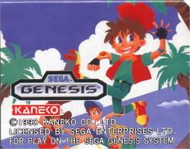 Cartridge artwork for Dj Boy on the Sega Nomad.
