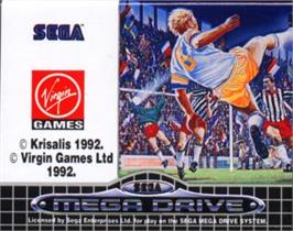 Cartridge artwork for European Club Soccer on the Sega Nomad.