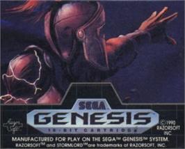 Cartridge artwork for Stormlord on the Sega Nomad.