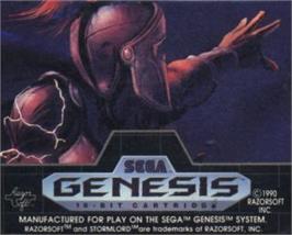 Cartridge artwork for Stormlord on the Sega Nomad.