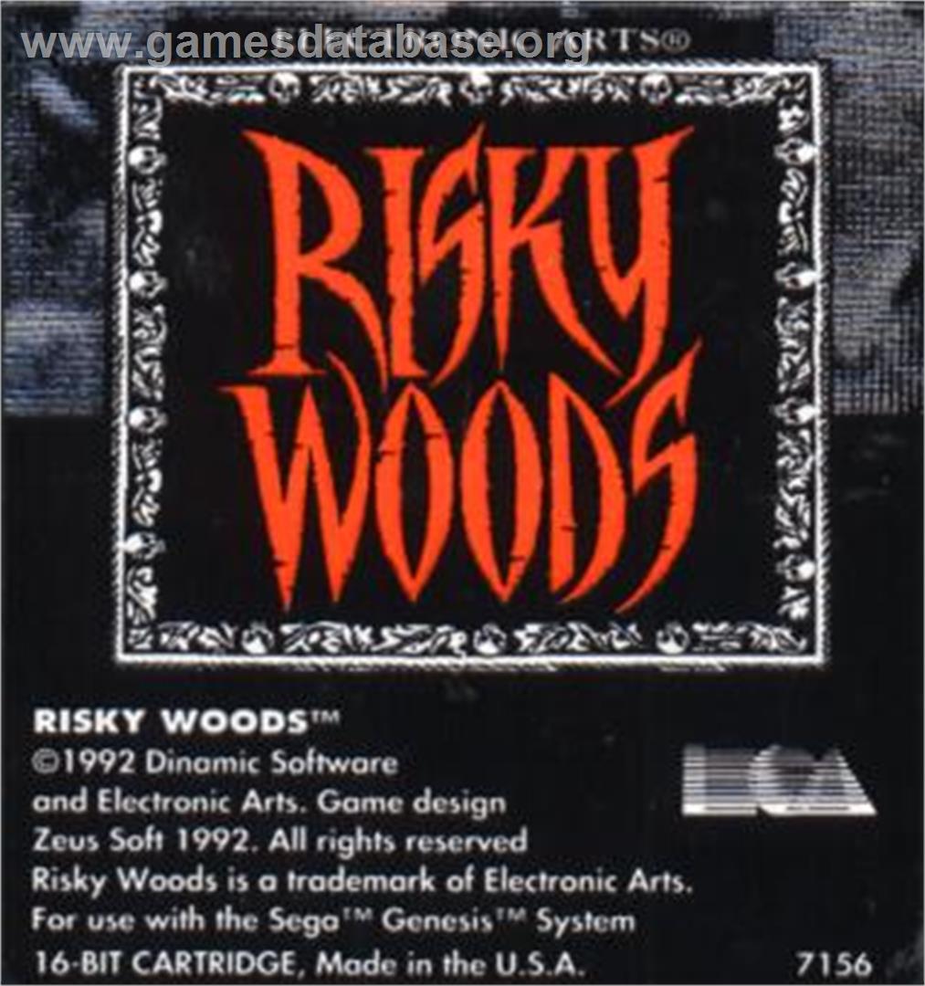 Risky Woods - Sega Nomad - Artwork - Cartridge