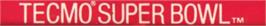 Top of cartridge artwork for Tecmo Super Bowl on the Sega Nomad.