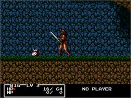 In game image of Cadash on the Sega Nomad.