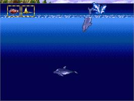 In game image of Ecco Jr. on the Sega Nomad.