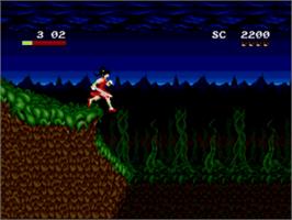 In game image of Mamono Hunter Youko - Dai 7 No Keishou on the Sega Nomad.