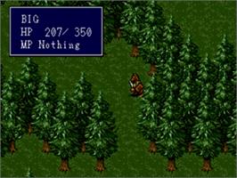 In game image of Sorcerer's Kingdom on the Sega Nomad.