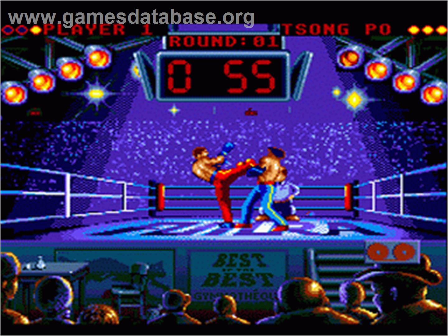 Best of the Best Championship Karate - Sega Nomad - Artwork - In Game