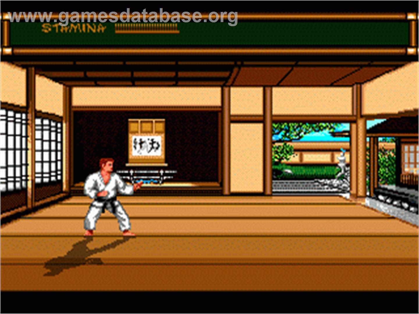 Budokan: The Martial Spirit - Sega Nomad - Artwork - In Game