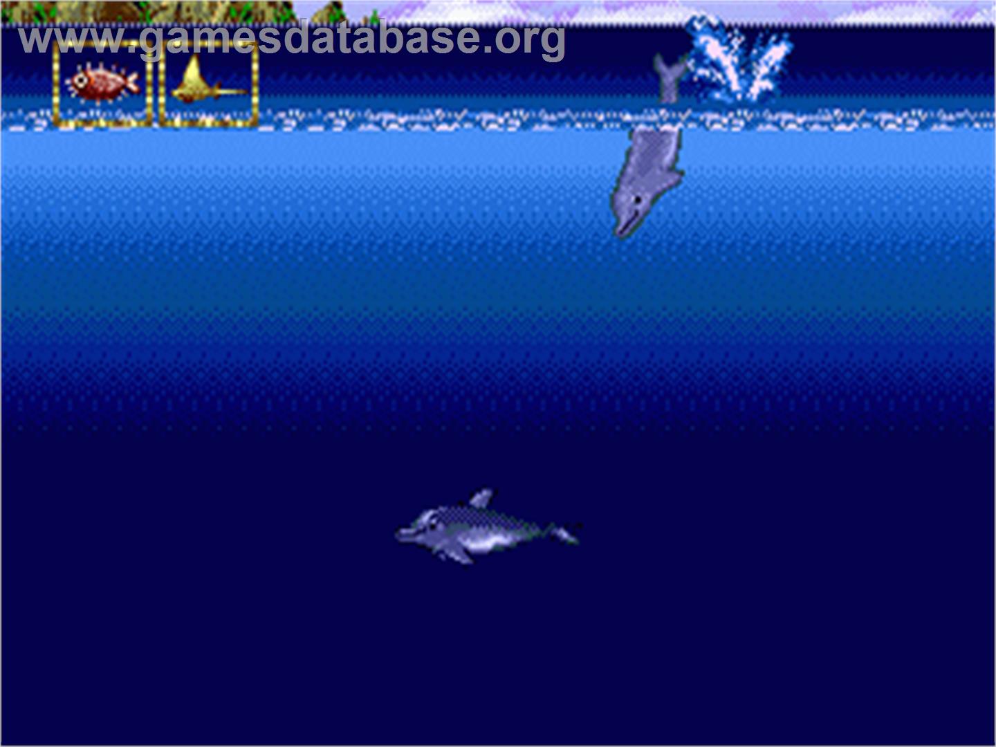 Ecco Jr. - Sega Nomad - Artwork - In Game