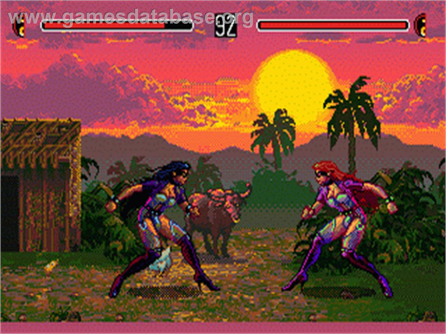 Eternal Champions - Sega Nomad - Artwork - In Game