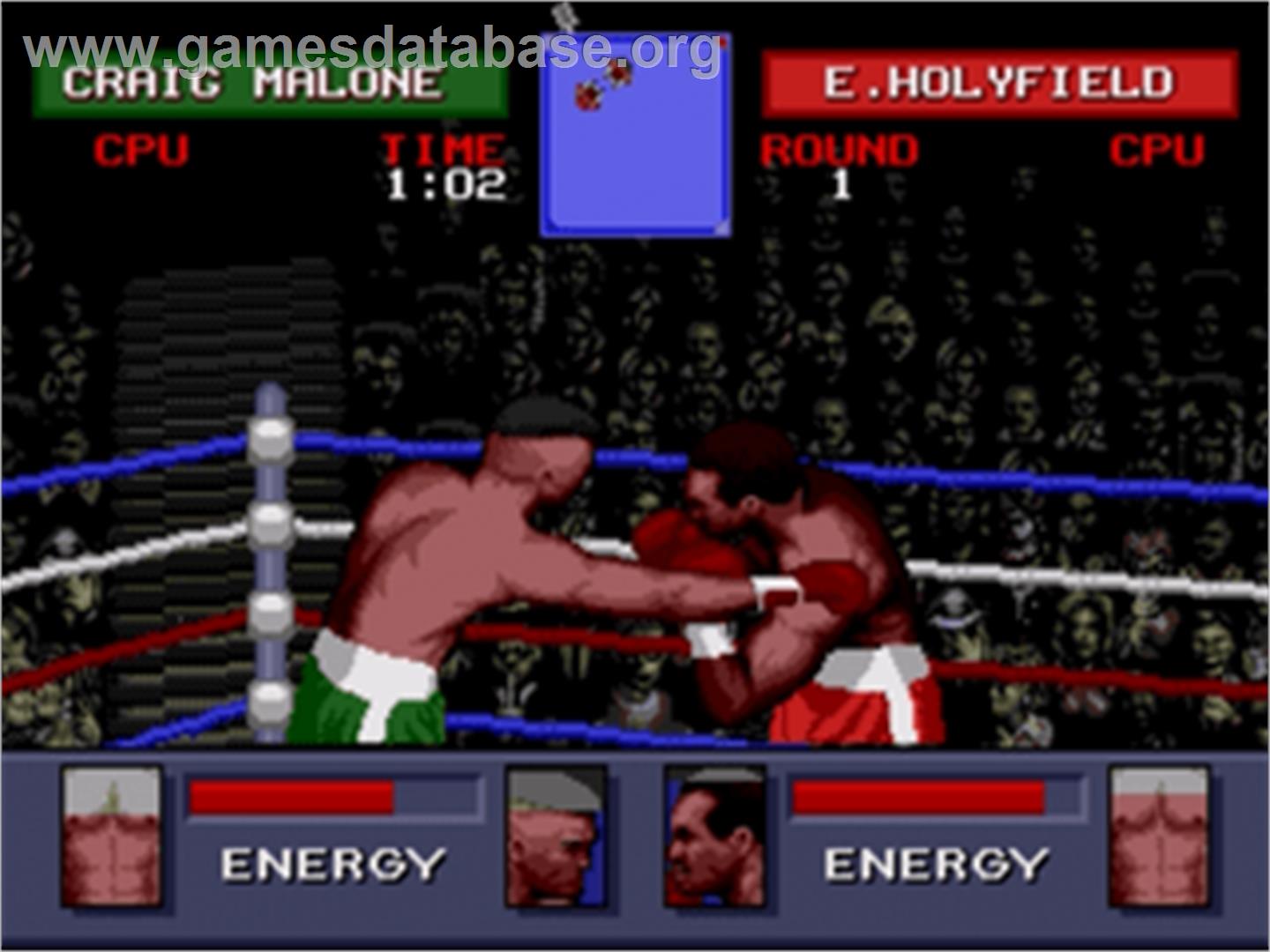 Evander Holyfield's 