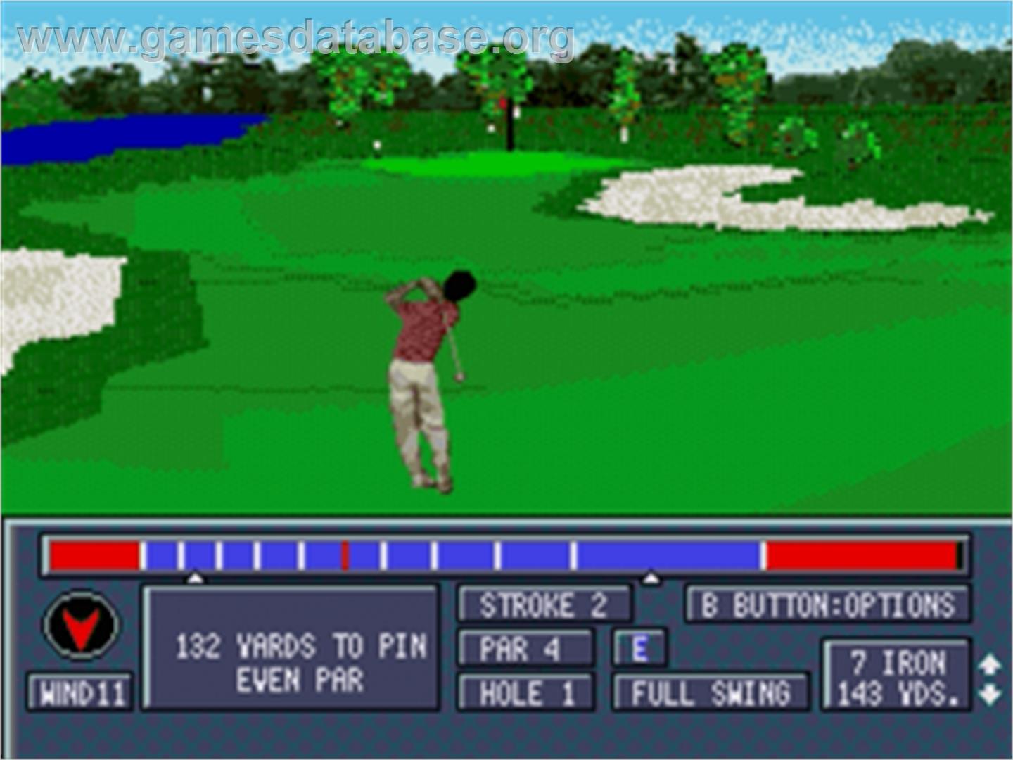Jack Nicklaus' Power Challenge Golf - Sega Nomad - Artwork - In Game