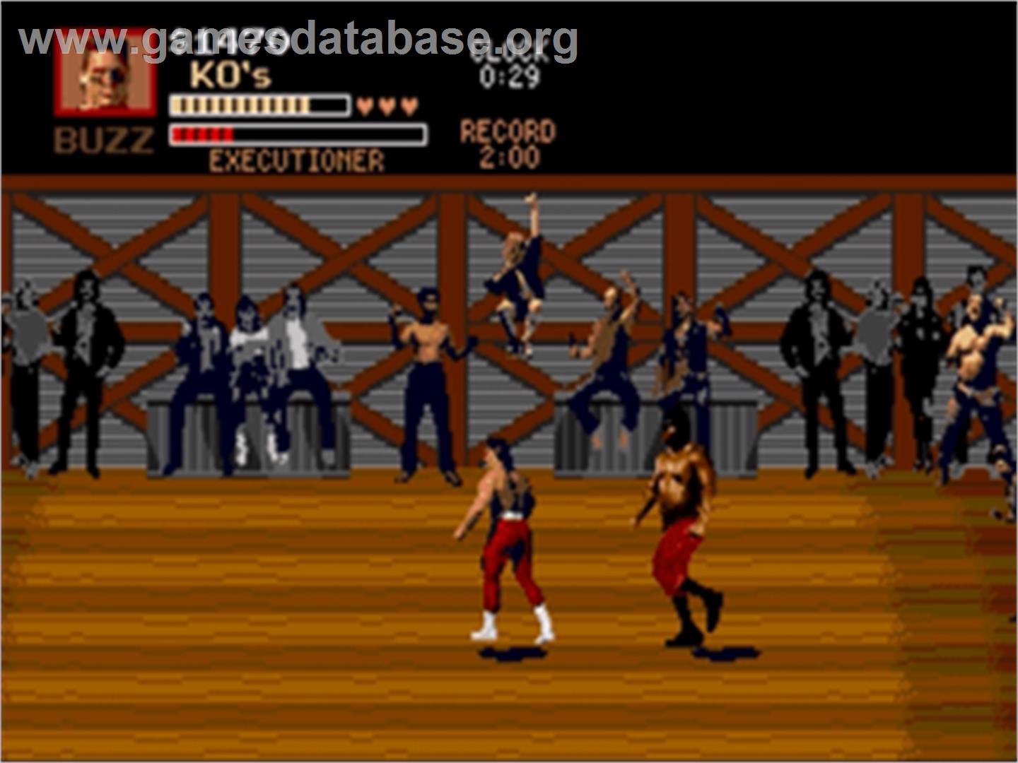 Pit-fighter - Sega Nomad - Artwork - In Game