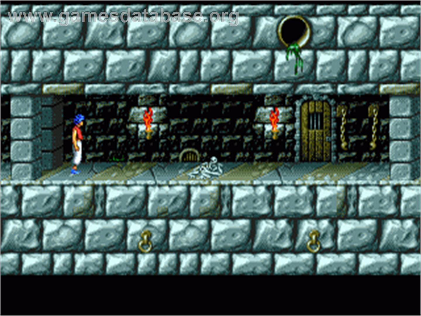 Prince Of Persia - Sega Nomad - Artwork - In Game