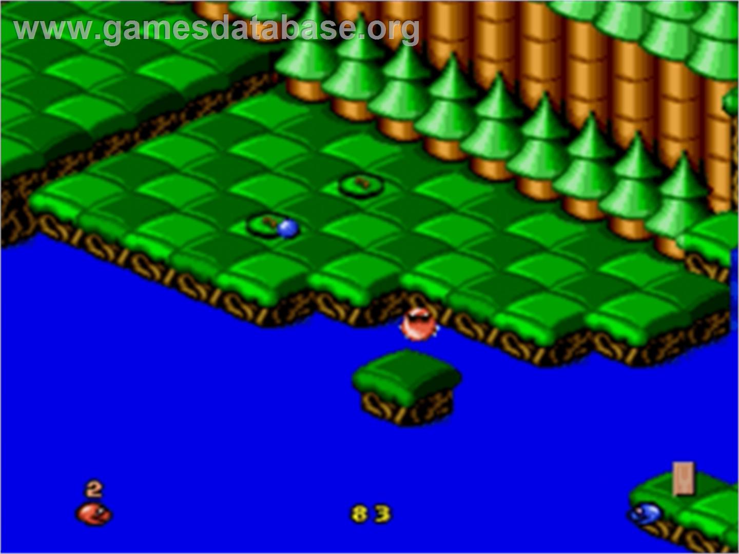 Snake Rattle 'n Roll - Sega Nomad - Artwork - In Game