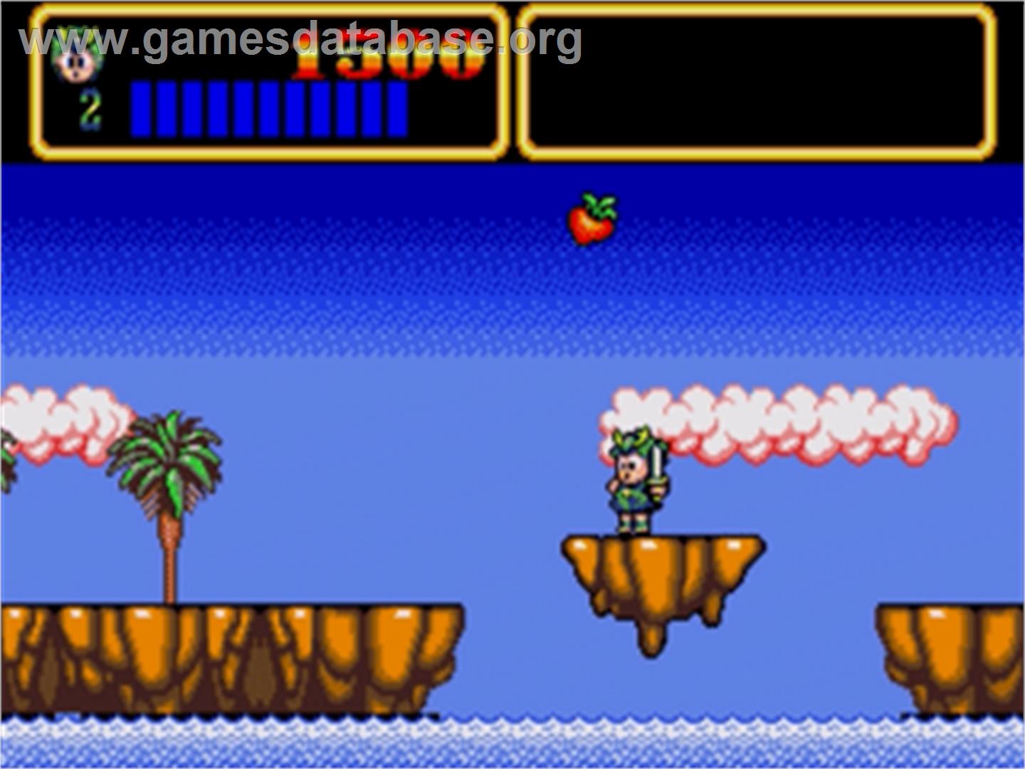 Wonder Boy III - Monster Lair - Sega Nomad - Artwork - In Game