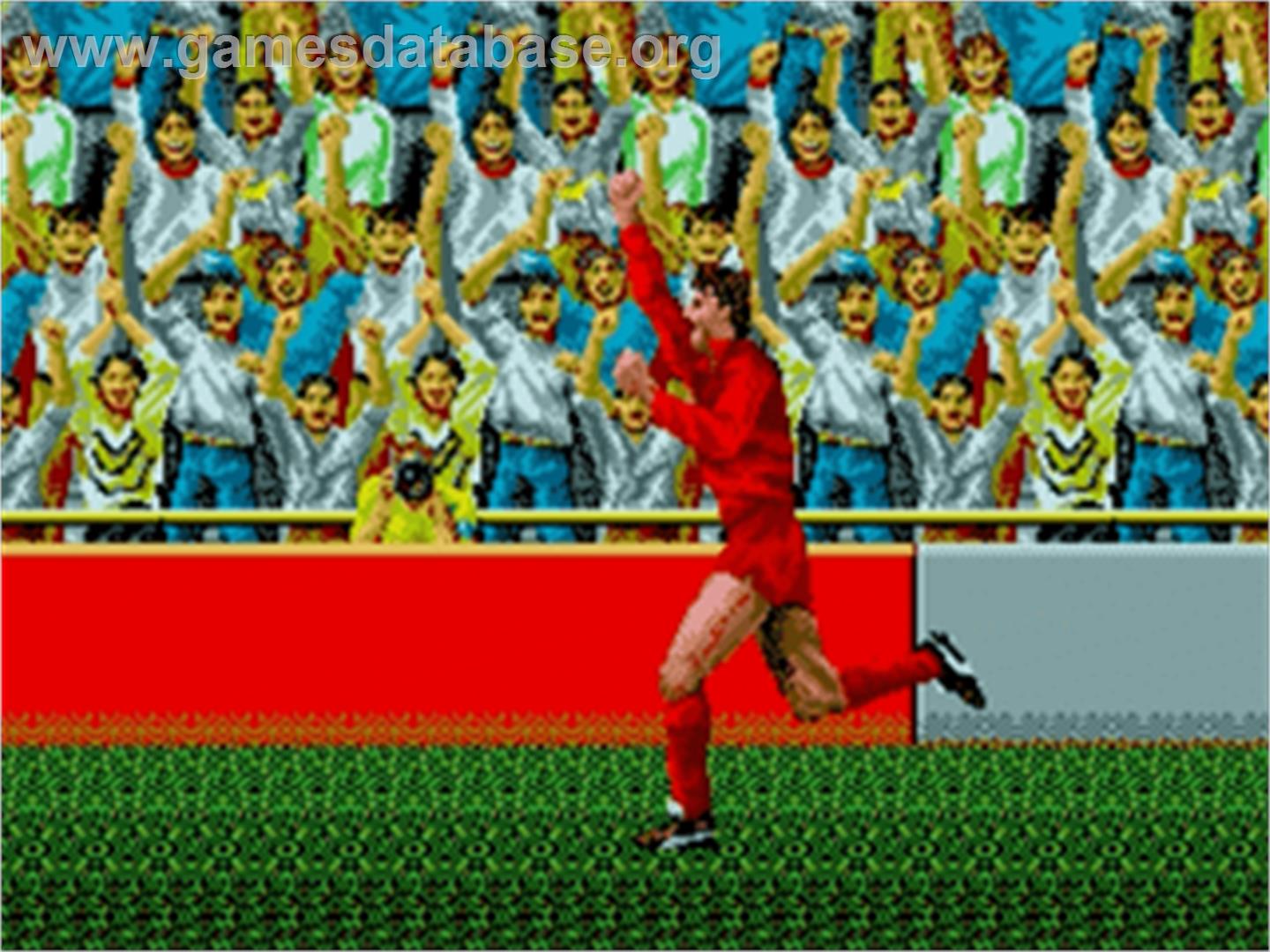 World Championship Soccer - Sega Nomad - Artwork - In Game