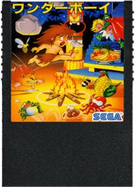 Cartridge artwork for Wonder Boy on the Sega SG-1000.