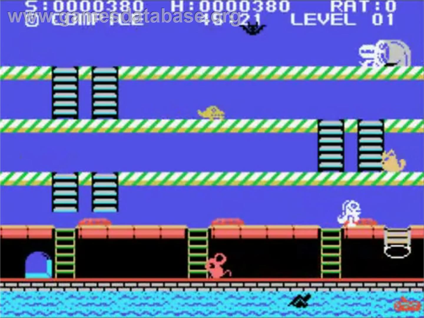Hustle Chumy - Sega SG-1000 - Artwork - In Game