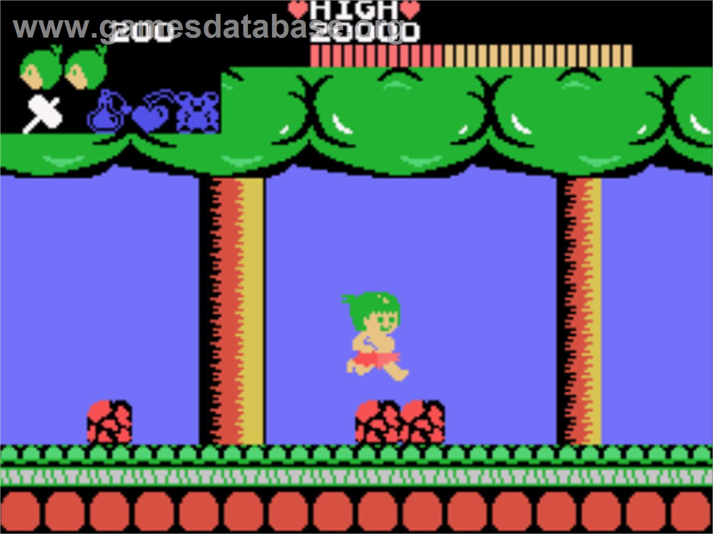 Wonder Boy - Sega SG-1000 - Artwork - In Game