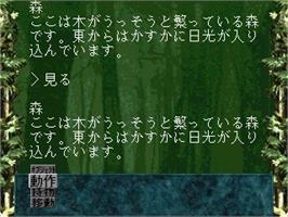 In game image of Zork 1 - The Great Underground Empire on the Sega Saturn.