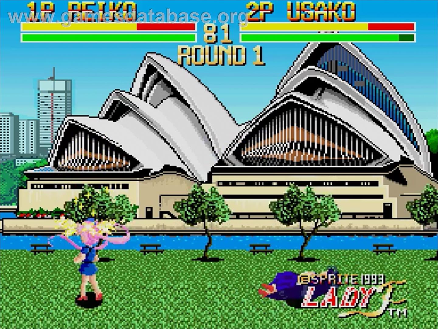 Bishoujo Senshi Lady Fighter - Sharp X68000 - Artwork - In Game