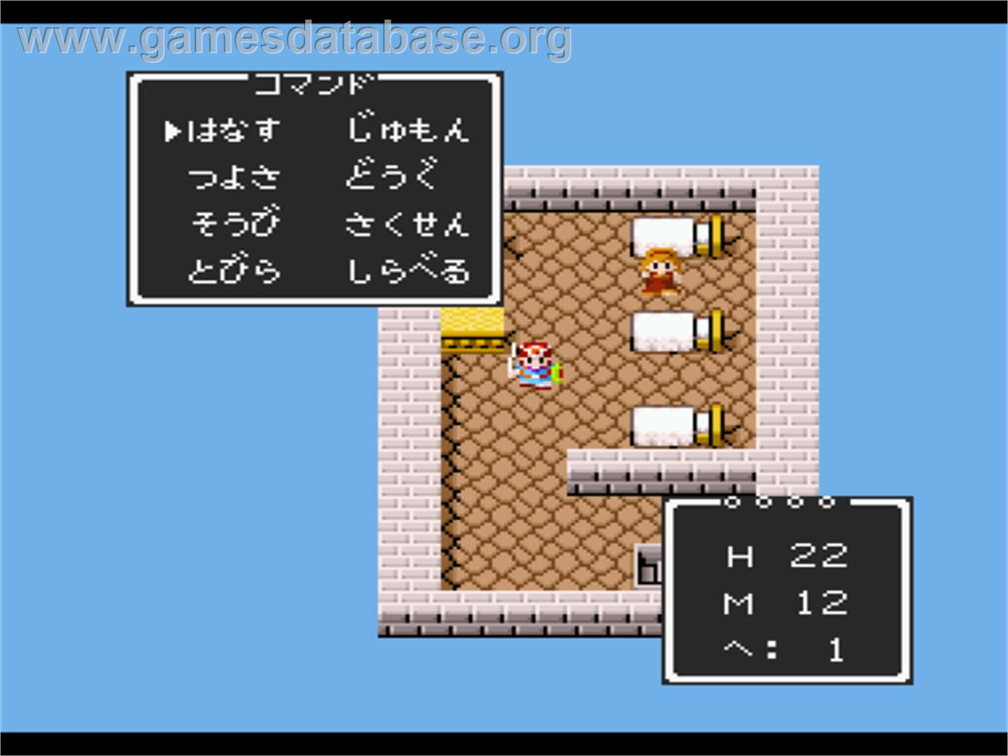 T-dragon Quest Mazoku No Daichi - Sharp X68000 - Artwork - In Game