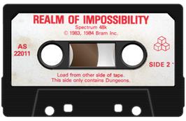 Cartridge artwork for Realm Of Impossibility on the Sinclair ZX Spectrum.