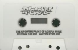 Cartridge artwork for The Growing Pains of Adrian Mole on the Sinclair ZX Spectrum.