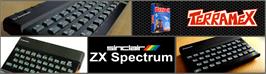 Arcade Cabinet Marquee for Terramex.
