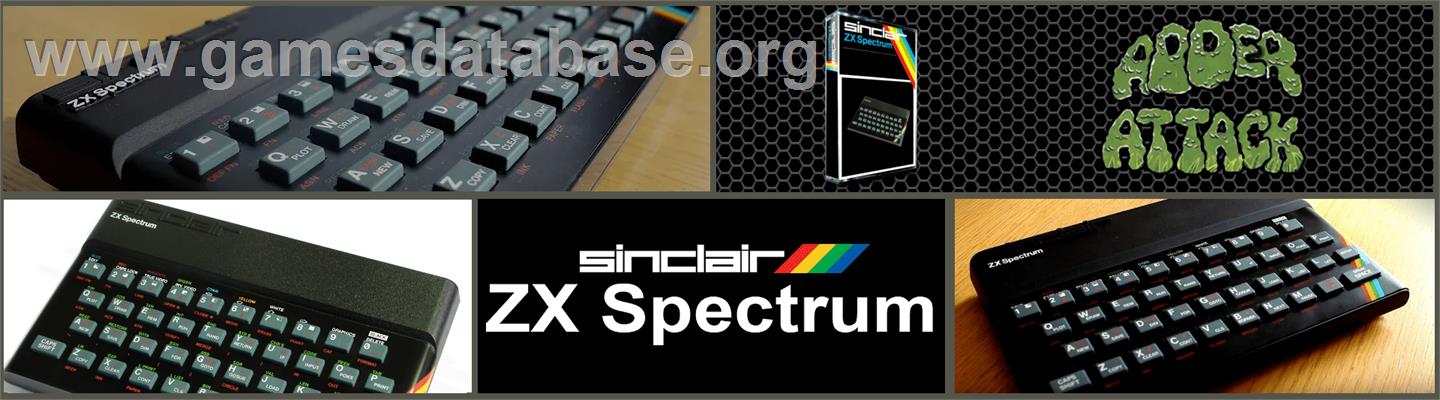 Adder Attack - Sinclair ZX Spectrum - Artwork - Marquee