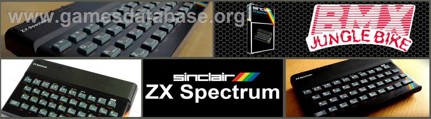 Bmx Jungle Bike - Sinclair ZX Spectrum - Artwork - Marquee