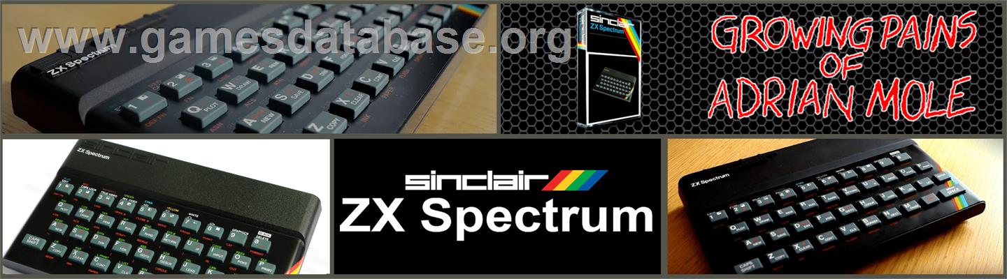 The Growing Pains of Adrian Mole - Sinclair ZX Spectrum - Artwork - Marquee