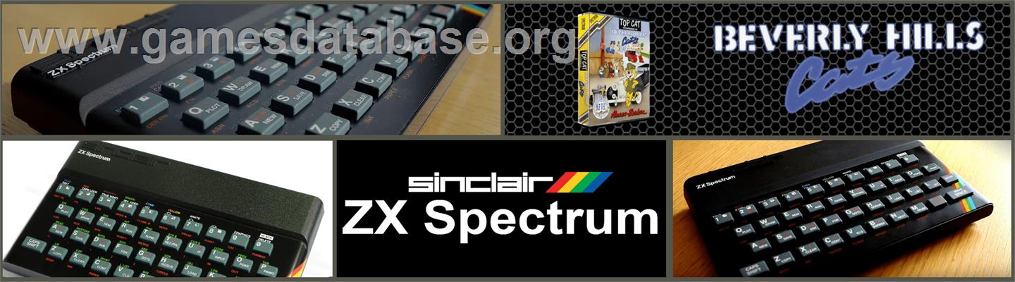 Top Cat Starring in Beverly Hills Cats - Sinclair ZX Spectrum - Artwork - Marquee