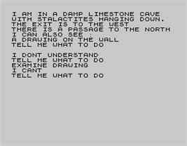 In game image of Adventure A: Planet of Death on the Sinclair ZX Spectrum.