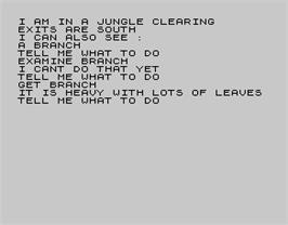 In game image of Adventure B: Inca Curse on the Sinclair ZX Spectrum.