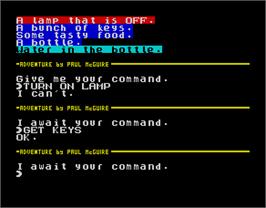 In game image of Adventureland on the Sinclair ZX Spectrum.