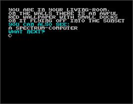In game image of Budokan: The Martial Spirit on the Sinclair ZX Spectrum.