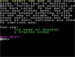 In game image of Curse Of Sherwood, The on the Sinclair ZX Spectrum.
