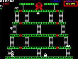 In game image of Donkey Kong on the Sinclair ZX Spectrum.