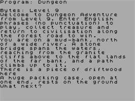 In game image of Dungeon Adventure on the Sinclair ZX Spectrum.