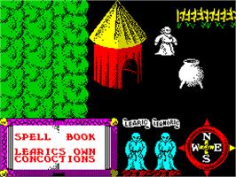 In game image of Feud on the Sinclair ZX Spectrum.
