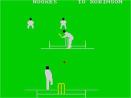 In game image of Graham Gooch's Test Cricket on the Sinclair ZX Spectrum.